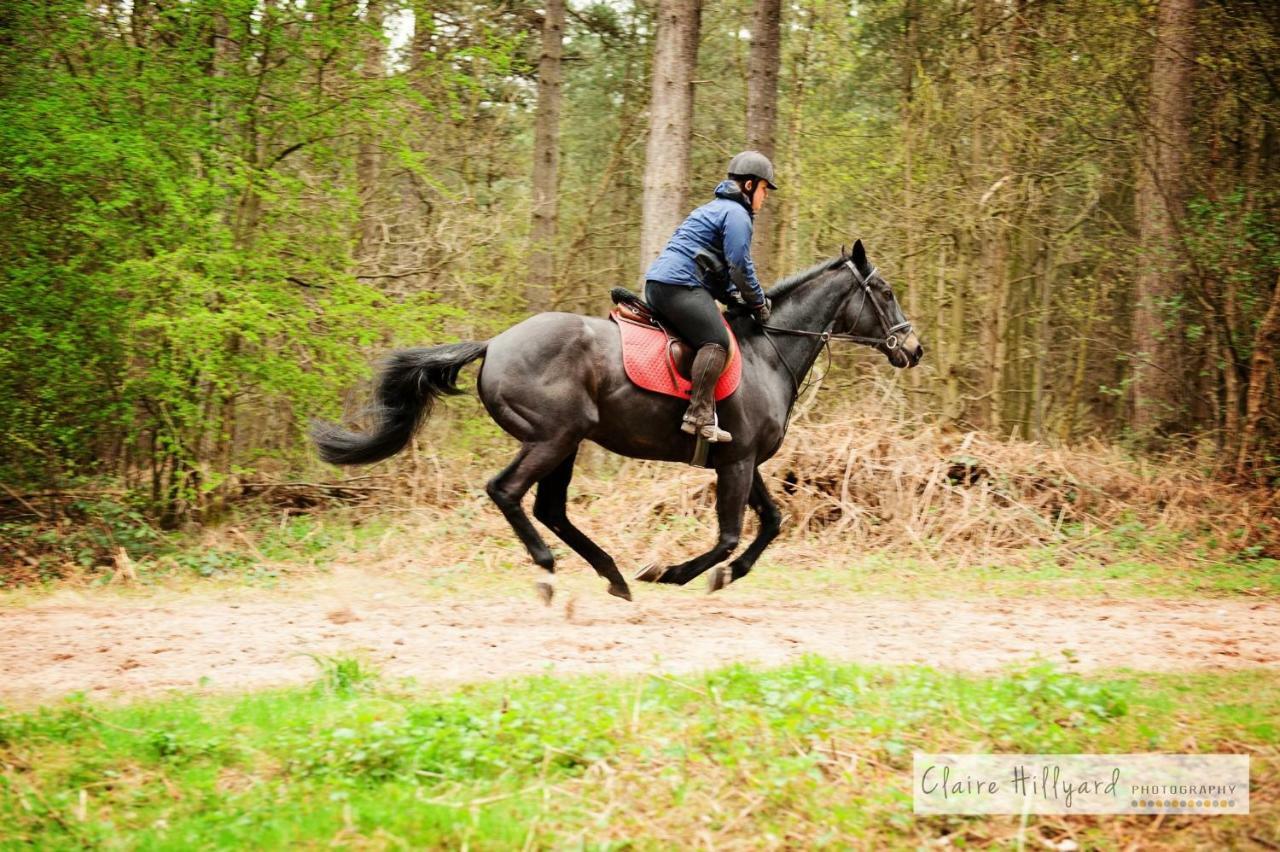 Lord Byron Lodge Blidworth Bagian luar foto