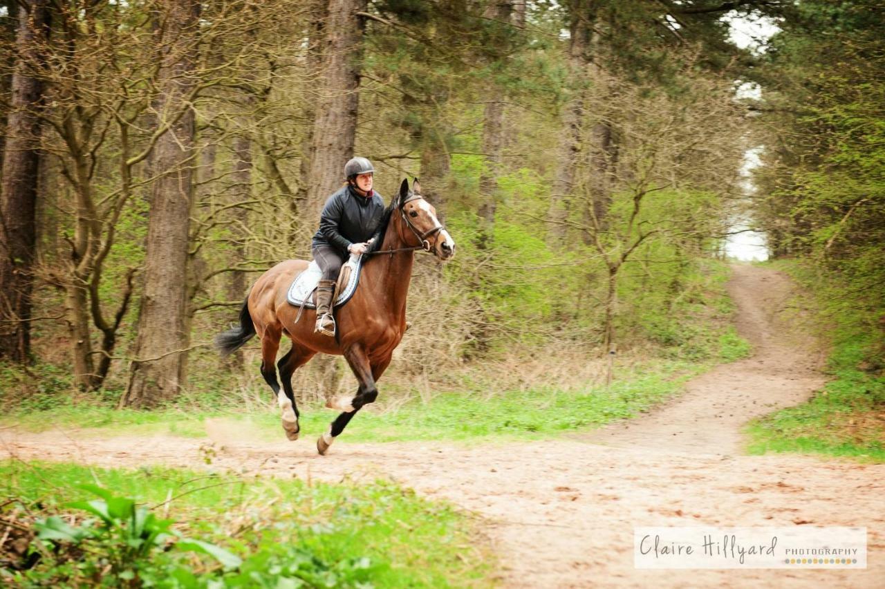 Lord Byron Lodge Blidworth Bagian luar foto